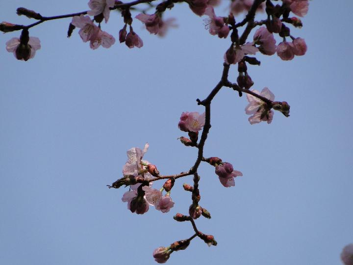 090502_150716_0.jpg