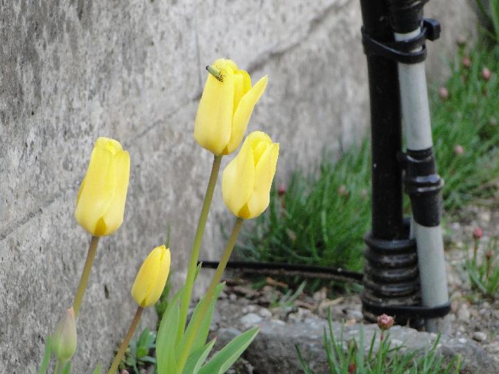 090502_161945_0.jpg