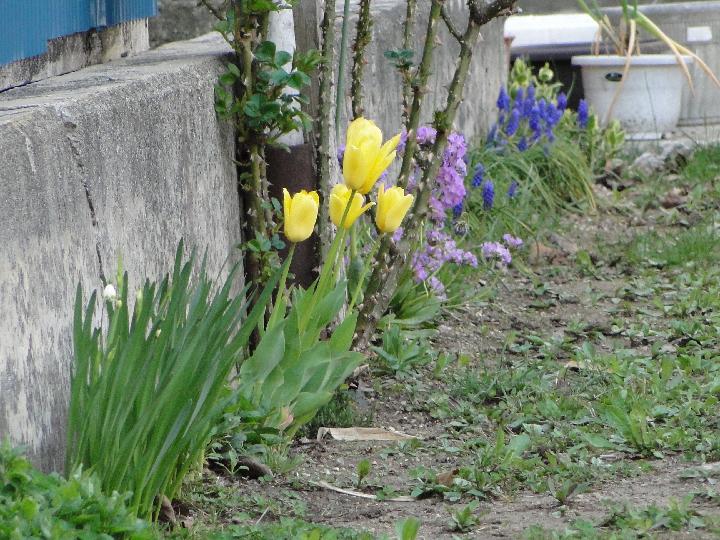 090502_161953_0.jpg