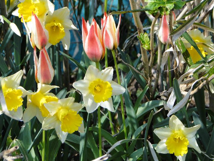 090502_162035_0.jpg