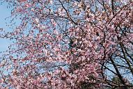 090502_150002_0