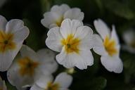 090502_160020_0