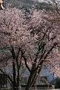 090502_161542_1