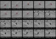 album20p018