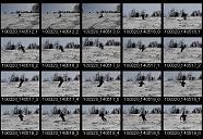 album20p037