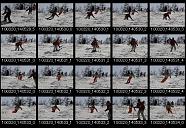 album20p040
