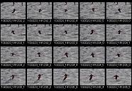 album20p046