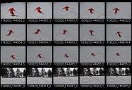 album20p100