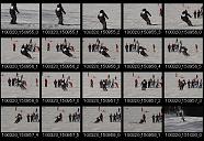 album20p136
