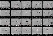album21a028