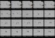 album21a091
