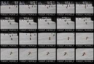 album2000049