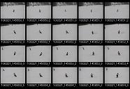 album2000060