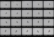 album2000064