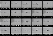 album2100018