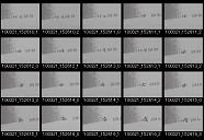 album2100025