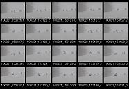 album2100059