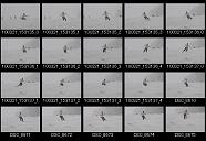 album2100061
