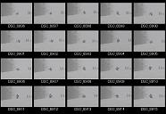 album2100073