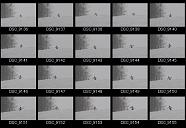 album2100085