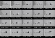 album2100140