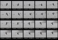 album2100141