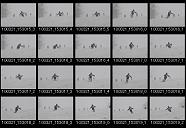 album2100149