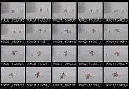album2100153