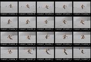album2100154