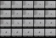 album2100157