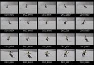 album2100164