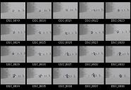 album2100171