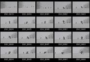 album2100179