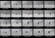 album2100180
