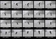 album2100181