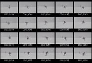 album2100192