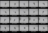 album2100196