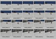 album029