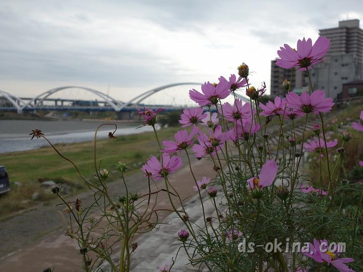 121103_111820_0.jpg
