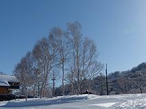 121229_092624_0