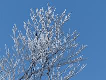 121229_105450_0