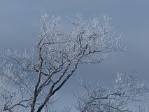 121229_105527_0