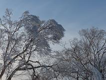 121229_145142_0