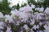 20160521_184507_0