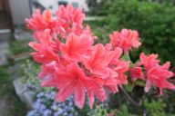 20160521_183516_0