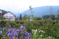 20160521_184417_0