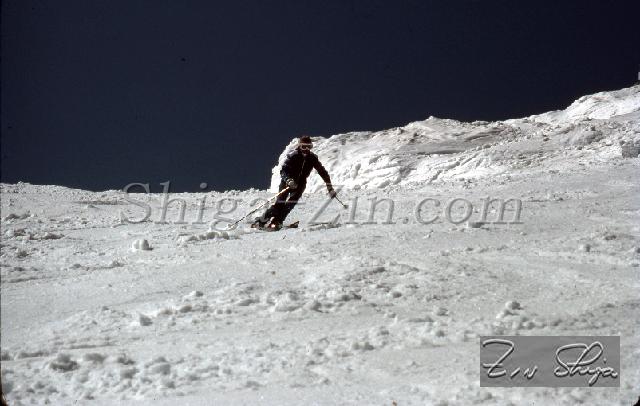 S0000082162.jpg