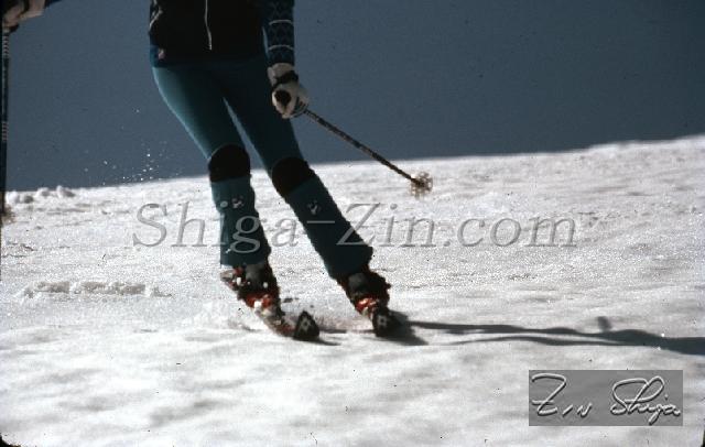 S0000084107.jpg