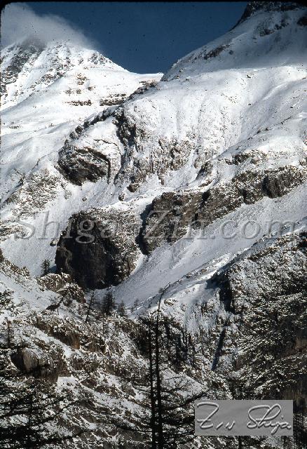 S0000084136.jpg