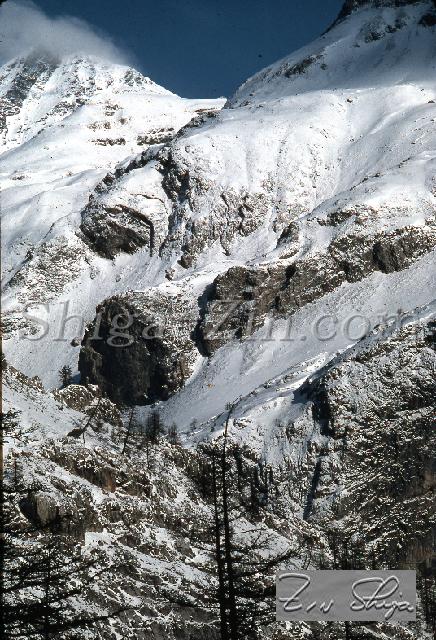 S0000084139.jpg